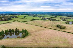 Photo 39- click for photo gallery